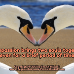 ~ COMPASSION ~